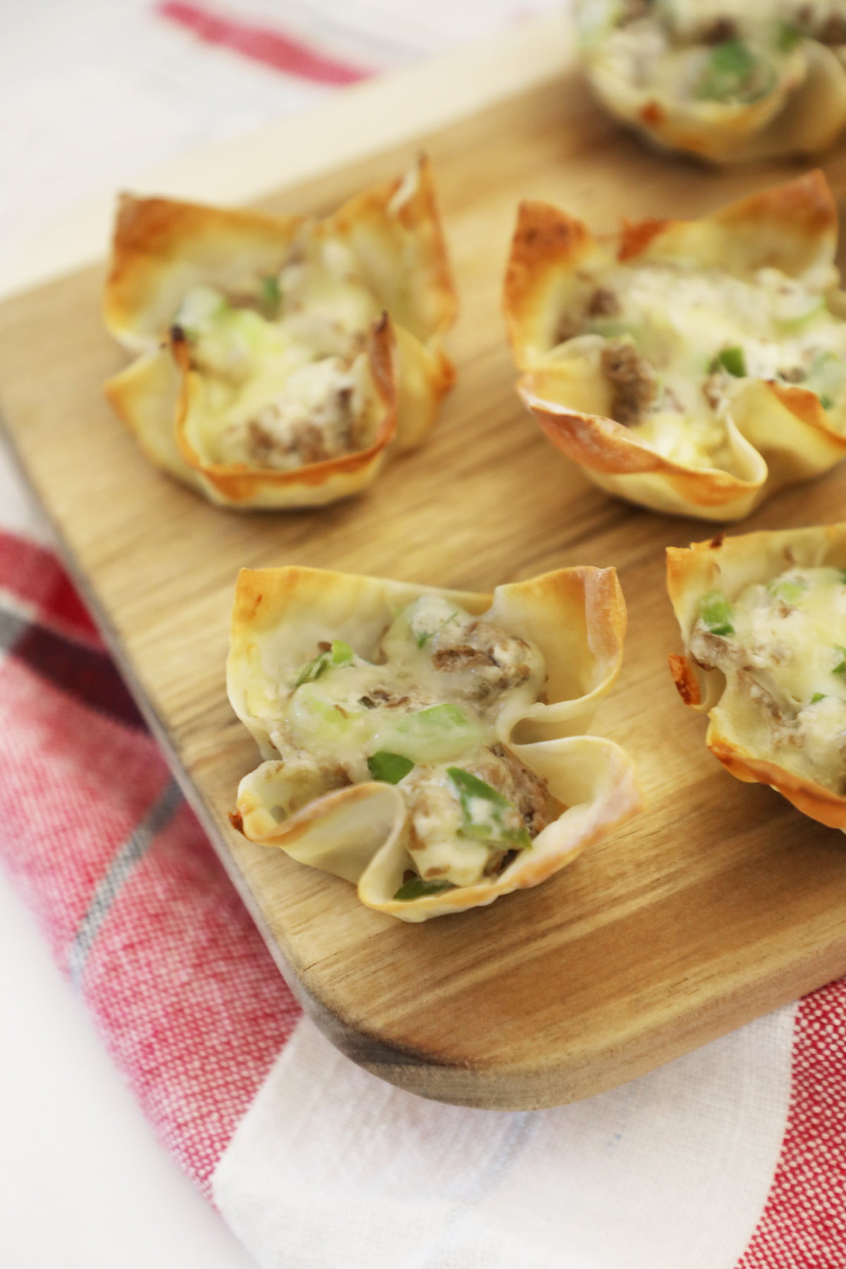 Steak and cheese Wontons