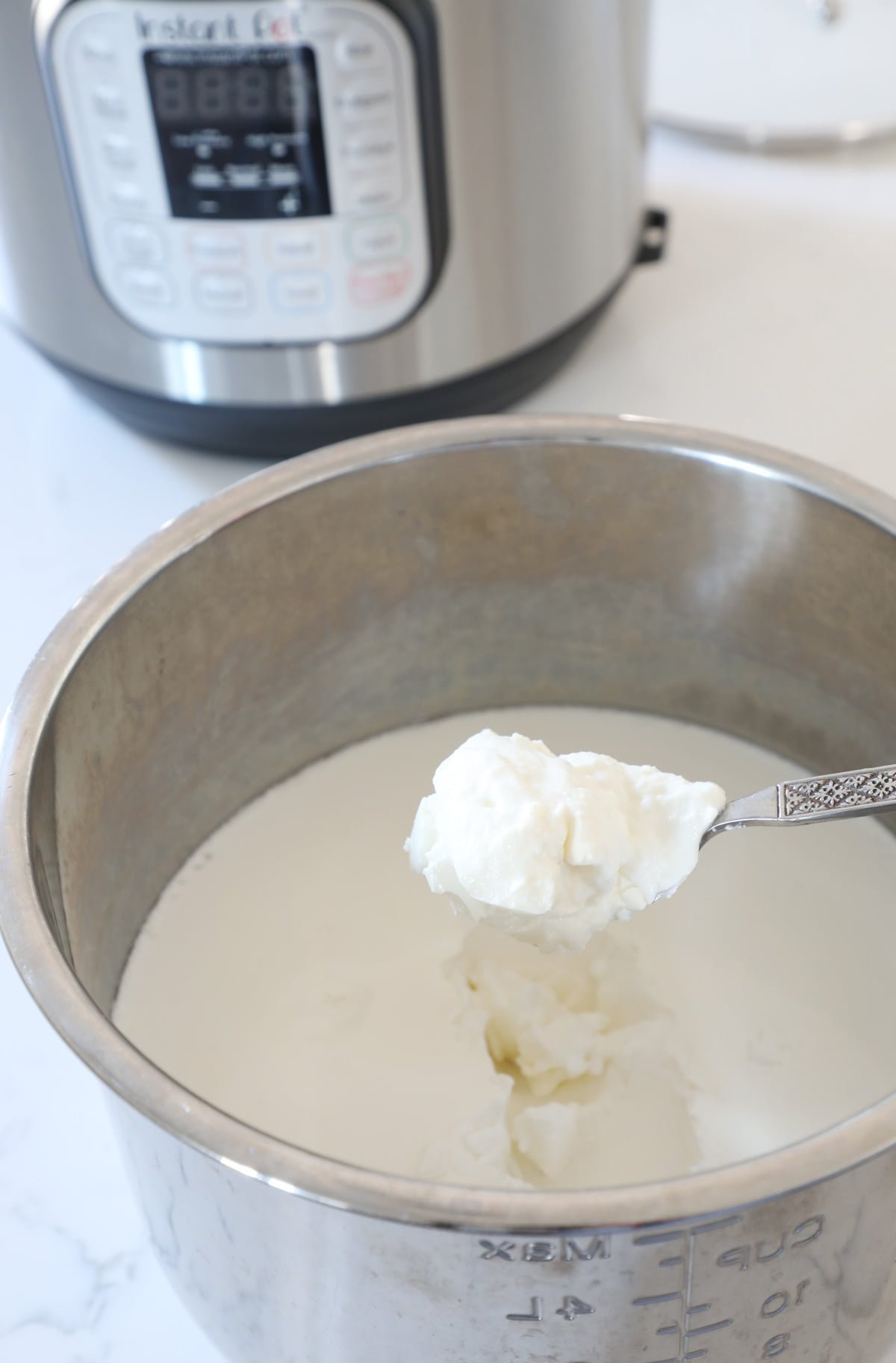 Vanilla yogurt in instant pot sale