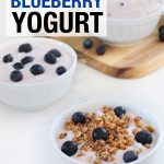Instant Pot Blueberry Yogurt