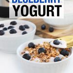 Instant Pot Blueberry Yogurt