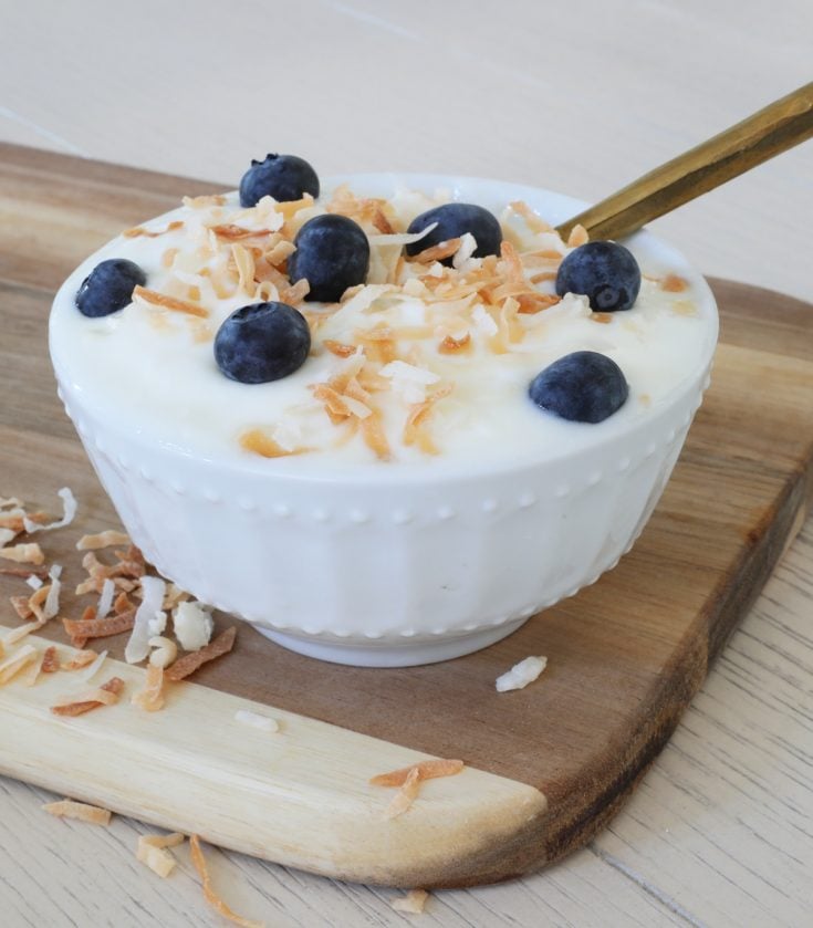 Instant Pot Coconut Yogurt