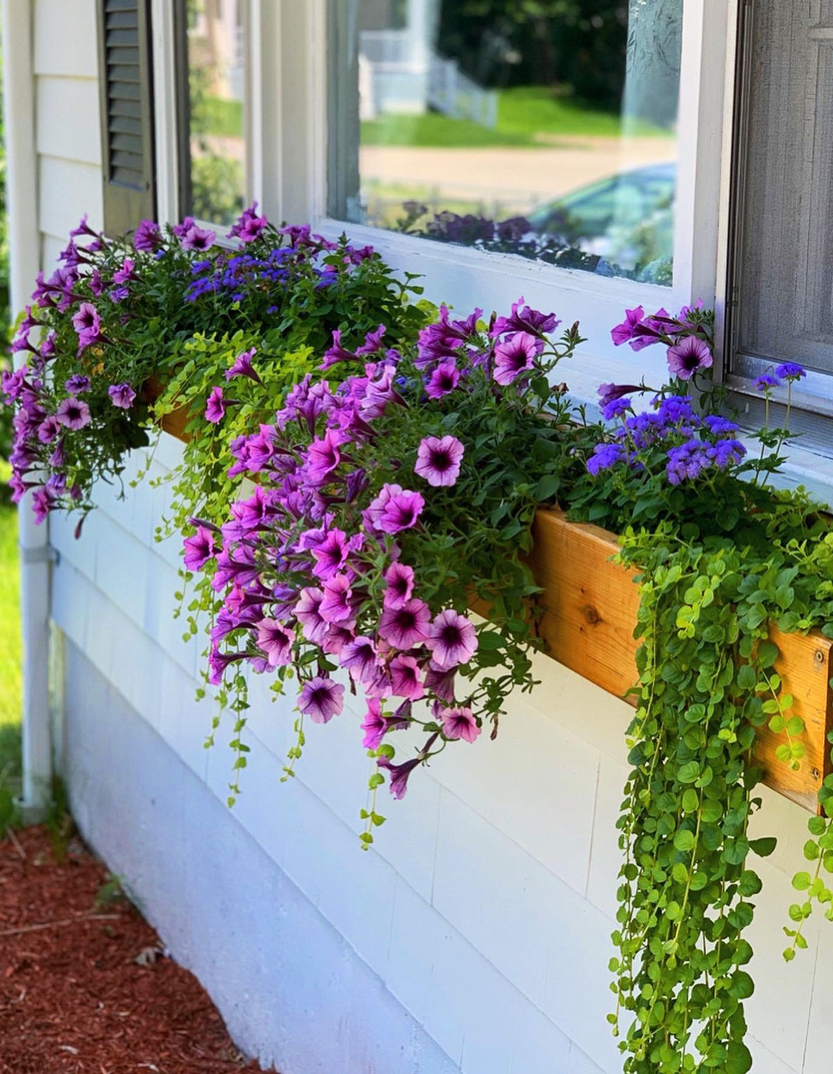 Window Flower Boxes