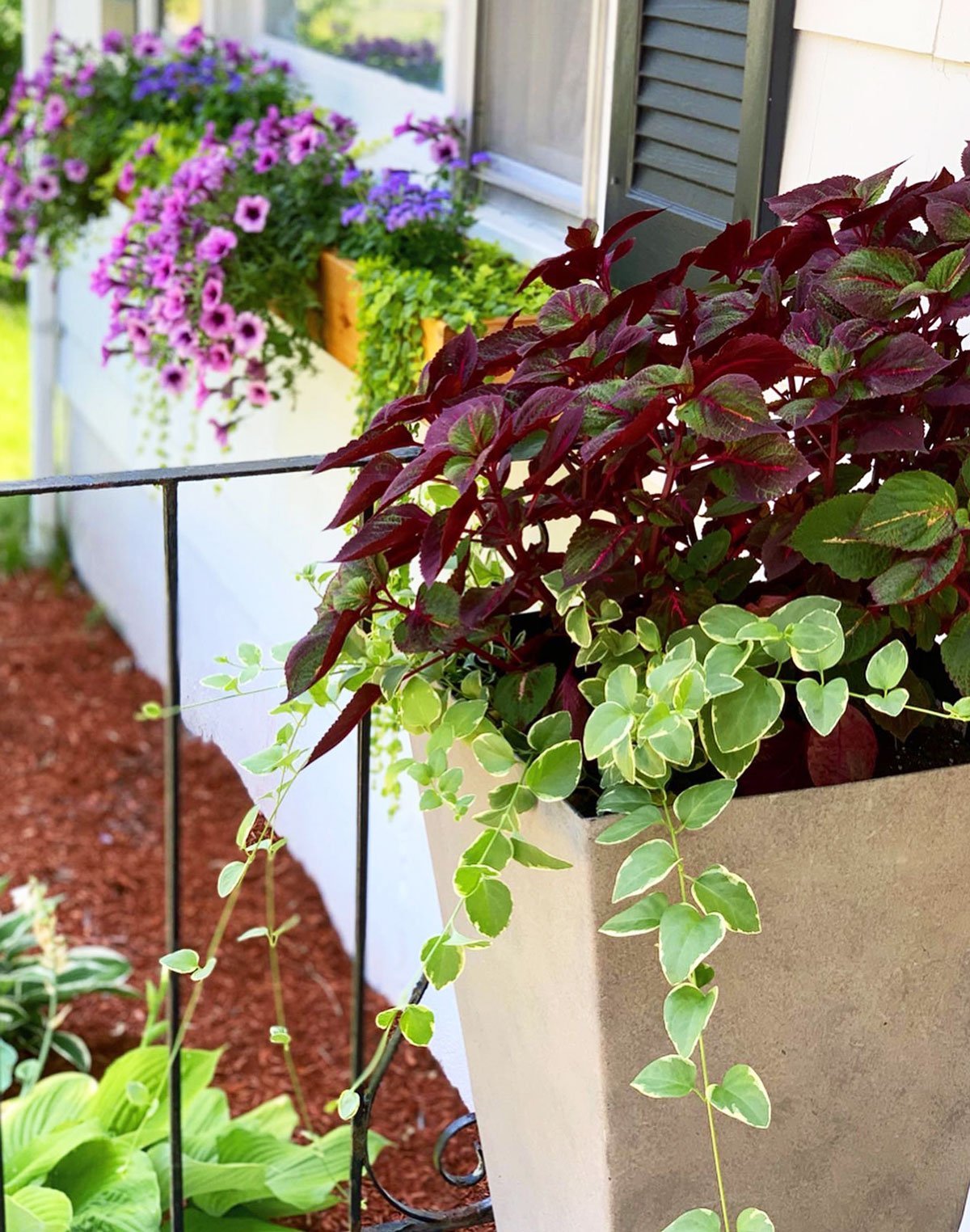 Window Boxes