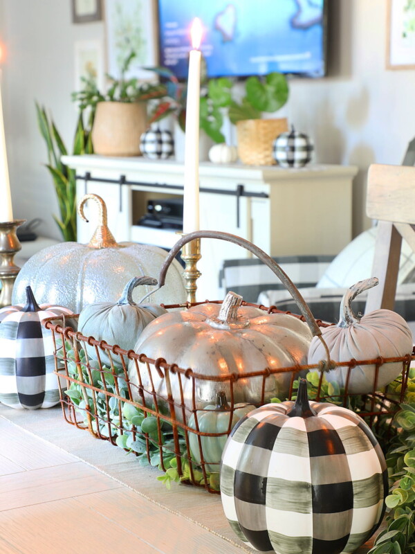 Teal Fall Decor