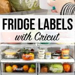 Fridge Labels