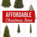 Affordable Christmas Trees