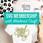 SVG Membership
