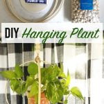 DIY Hanging Plant