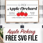 Apple Picking SVG File