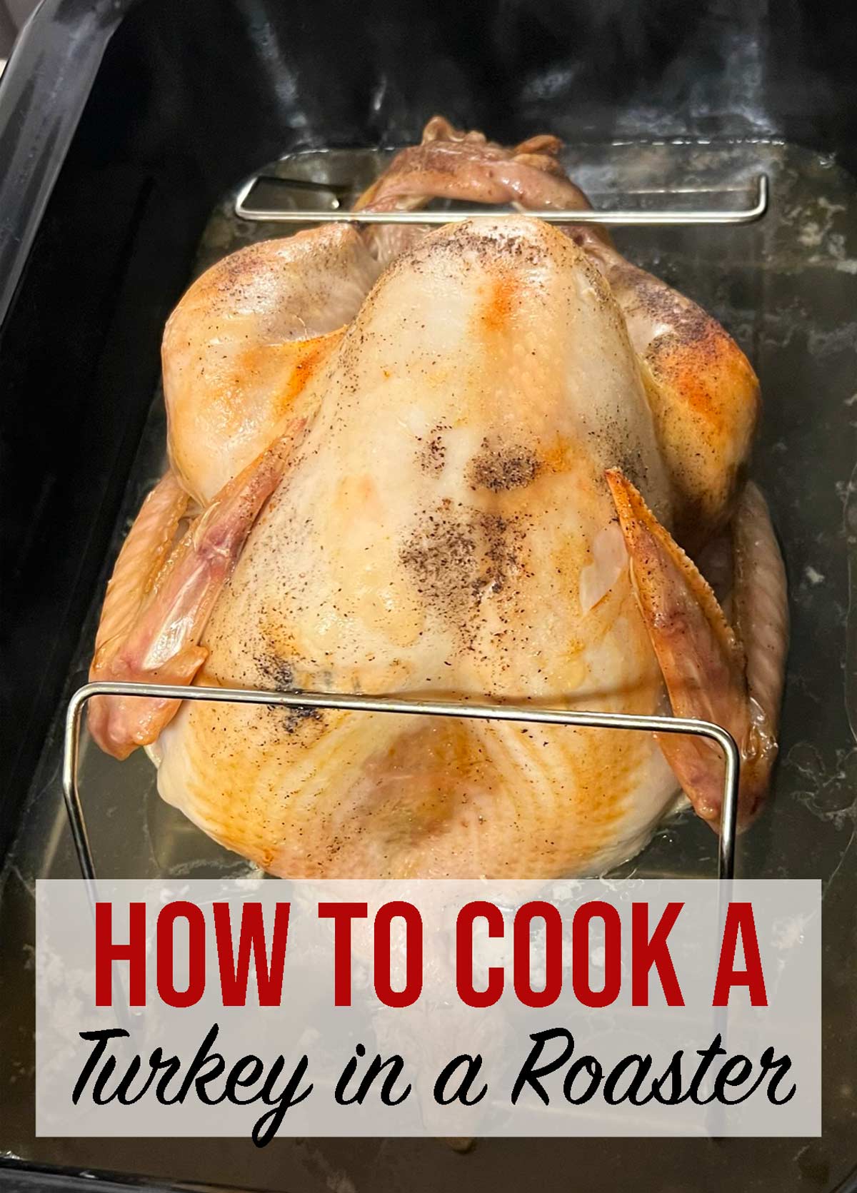 How To Cook A Turkey In A Roaster Weekend Craft   TurkeyRoaster 1 