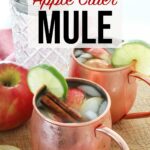 Apple Cider Mule with glass cocktail shaker on kitchen counter, sitting atop a red towel and wooden Board with apples, limes and cinnamon stick garnish.